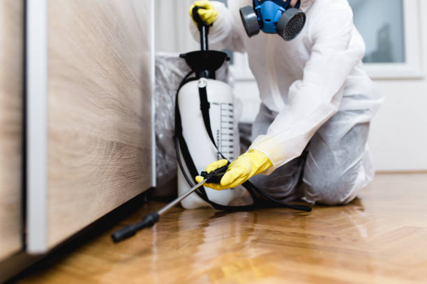 Best Flea Control Services  in Gloster, MS