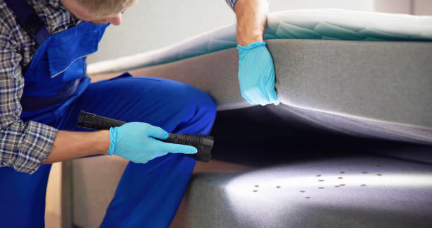 Best Wasp Removal Services  in Gloster, MS